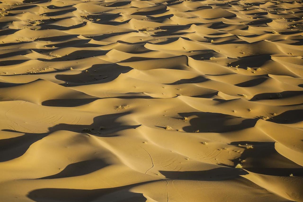 Berber & Camel Trek Hotel Merzouga Exterior photo