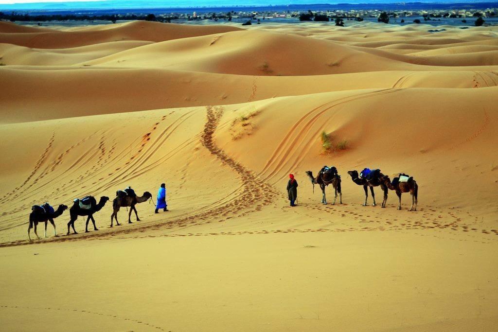 Berber & Camel Trek Hotel Merzouga Exterior photo